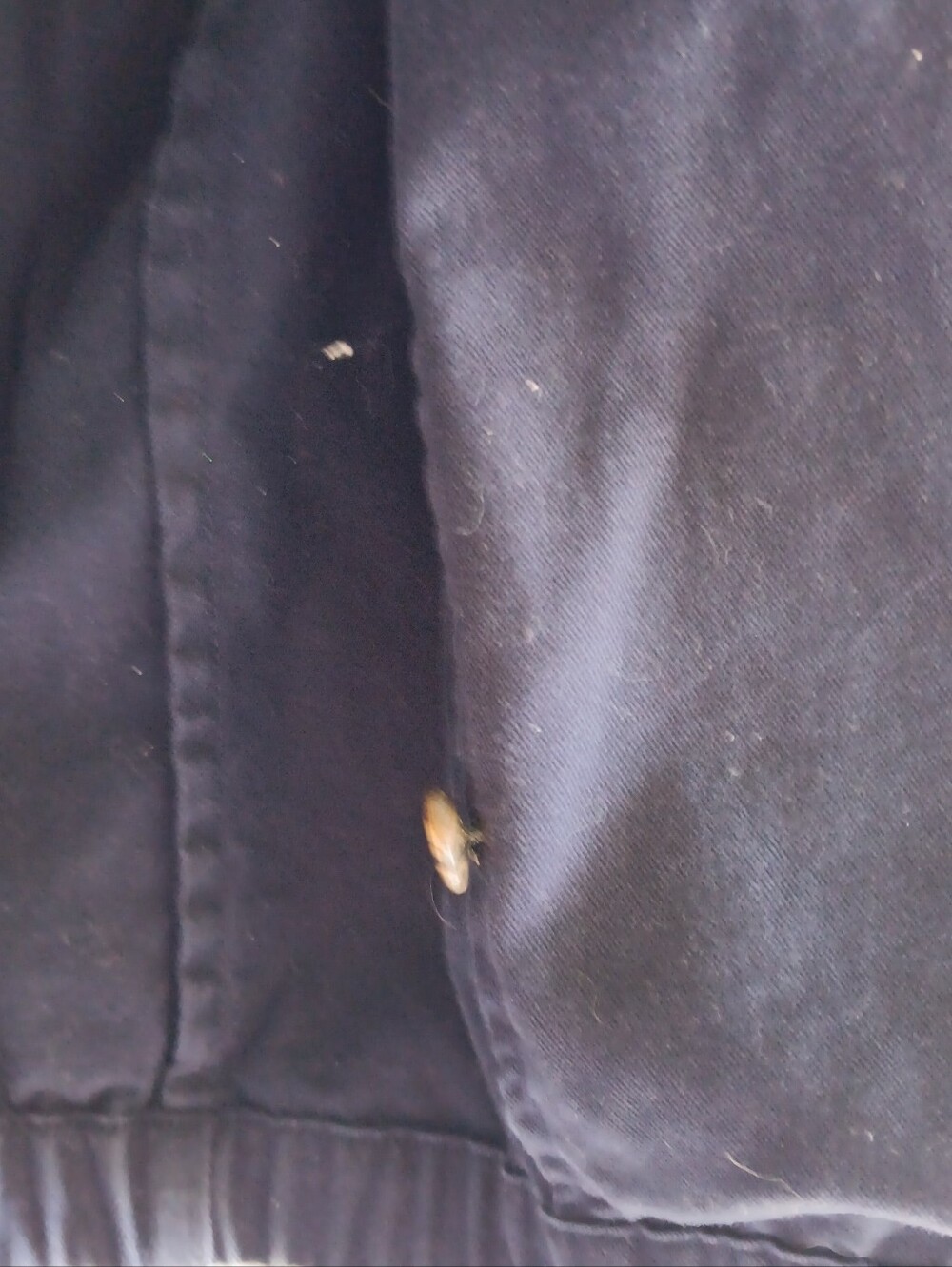 Vintage Polo By Ralph Lauren Navy Blue 100% Cotton Jacket Size XXL - Picture 6 of 9